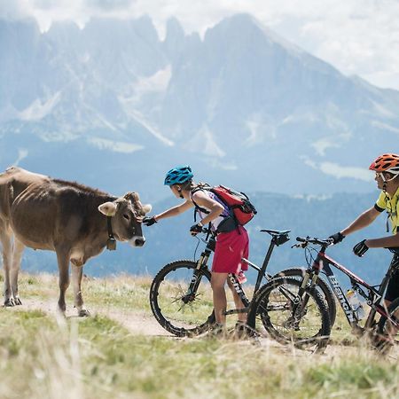 Hotel Cosmea 4 Stars - Your Dolomites Experience โอติเซ ภายนอก รูปภาพ